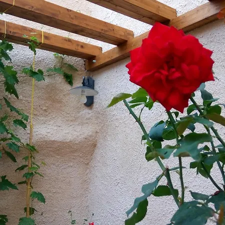 A Casa Di Nonna Bed & Breakfast Massa d'Albe