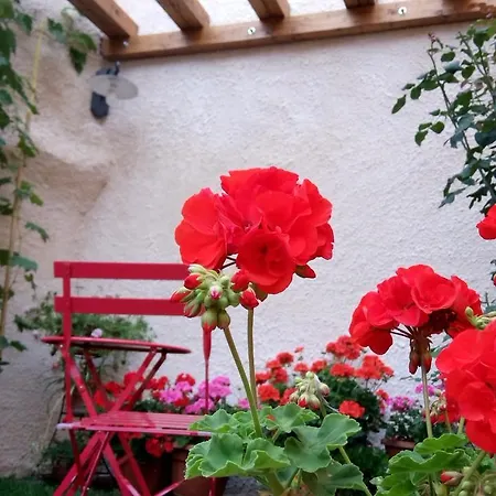 Bed & Breakfast A Casa Di Nonna 4*