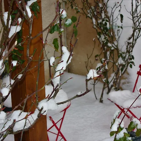 Bed & Breakfast A Casa Di Nonna Massa d'Albe