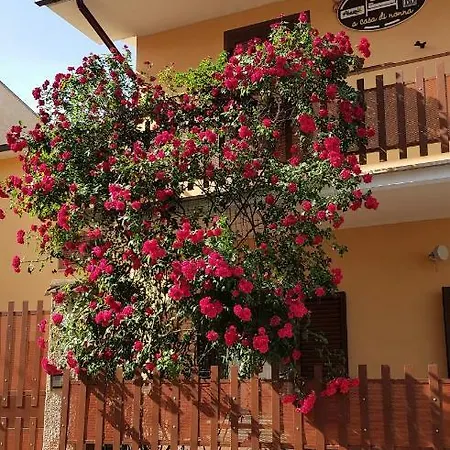 Bed & Breakfast A Casa Di Nonna Massa d'Albe