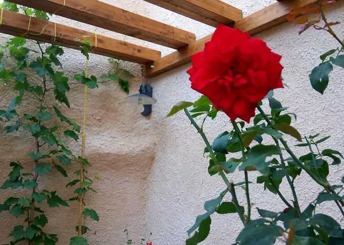 A Casa Di Nonna Отель типа 