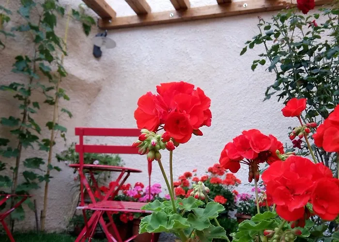 Couette-café A Casa Di Nonna 4*